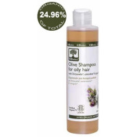 Шампунь для жирного волосся БіоСелект Olive Shampoo for Oily Hair BIOSelect