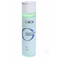 Мило рідке для комбінованої і жирної шкіри Джи Джи Soap for oily & combination Skin Gigi