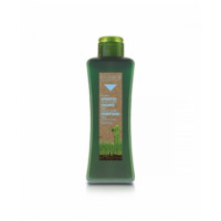 Медовий шампунь для чутливої шкіри голови Салермо Champі Scalp Care Salerm