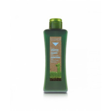 Медовий шампунь для чутливої шкіри голови Салермо Champі Scalp Care Salerm