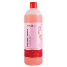 Гранатовий шампунь Салермо Pomegranate Shampoo Salerm