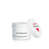 Точковий коректор проти запальних елементів і герпесу Аркана Acne Eliminator Arkana