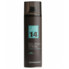 Еколак сильної фіксації Емебі GATE 14 Eco Spray strong Emmebi