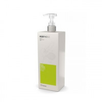 Шампунь для жирної шкіри голови Фрамес Balance Shampoo Framesi
