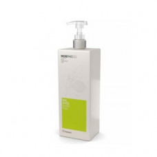 Шампунь для жирної шкіри голови Фрамес Balance Shampoo Framesi