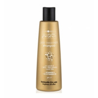 Шампунь з екстрактом шовку і алое вера Хаир Компані Post Treatment Shampoo Hair Company