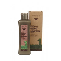 Шампунь з аргановою олією Салермо Champu argan Salerm