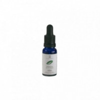 Екстракт зеленого чаю Массада Green Tea Extract Massada
