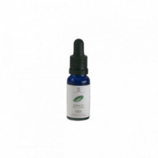 Екстракт зеленого чаю Массада Green Tea Extract Massada
