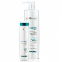 Шампунь проти випадіння волосся Хаир Компані Double Action No Loss Revitalising Shampoo Hair Company
