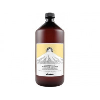Шампунь Давінес NT Purifying purifying shampoo Davines