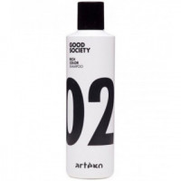 Шампунь для фарбованого волосся Артего Good Society 02 Rich Color Shampoo Artego