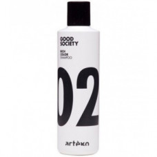 Шампунь для фарбованого волосся Артего Good Society 02 Rich Color Shampoo Artego